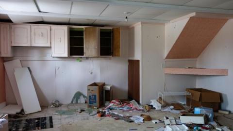 Soon To Be Majestic '19 - DSC02683.jpg