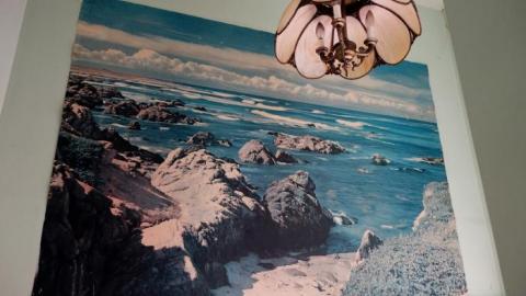 Soon To Be Majestic '19 - DSC02691.jpg