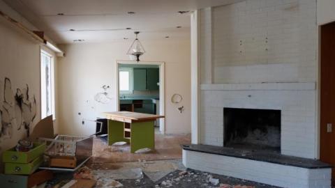 Soon To Be Majestic '19 - DSC02710.jpg