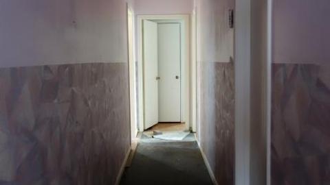 Soon To Be Majestic '19 - DSC02719.jpg