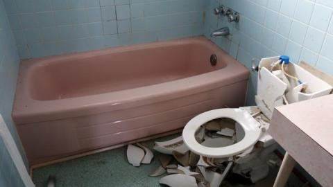 Soon To Be Majestic '19 - DSC02723.jpg