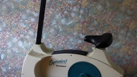 Soon To Be Majestic '19 - DSC02731.jpg