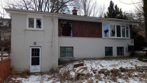 Soon To Be Majestic '19 - DSC02766.jpg