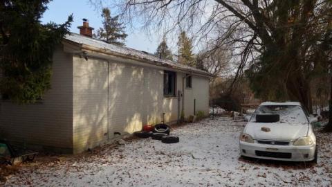 Soon To Be Majestic '19 - DSC02779.jpg