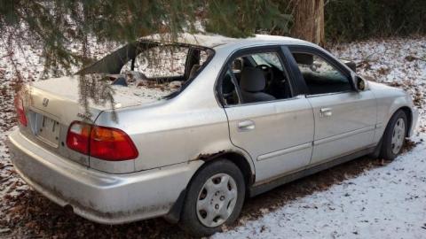 Soon To Be Majestic '19 - DSC02789.jpg