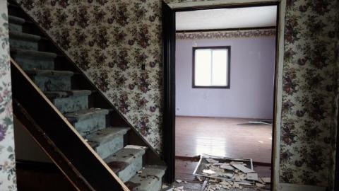 Soon To Be Majestic '19 - DSC02811.jpg