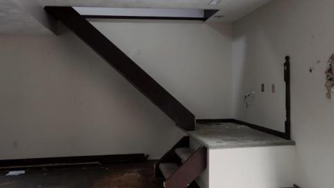 Soon To Be Majestic '19 - DSC02838.jpg