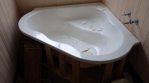 Soon To Be Majestic '19 - DSC02853.jpg