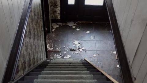 Soon To Be Majestic '19 - DSC02857.jpg