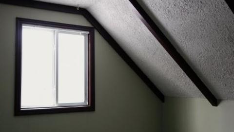 Soon To Be Majestic '19 - DSC02861.jpg