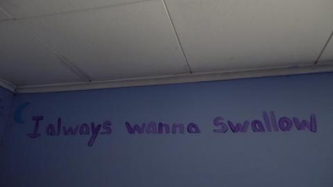 Soon To Be Majestic '19 - DSC02864.jpg