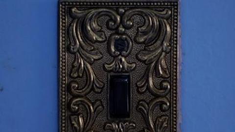 Soon To Be Majestic '19 - DSC02877.jpg