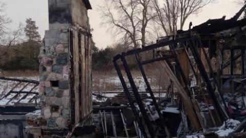 Soon To Be Majestic '19 - DSC02911.jpg