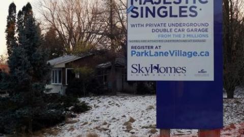 Soon To Be Majestic '19 - DSC02992.jpg