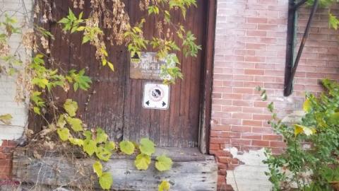 More Exterior Shots. Nov 5 - 20191106_114905.jpg