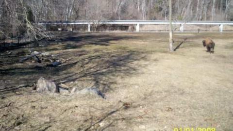 Domain Ride Remains - Canadian-Domain-Ride16.jpg