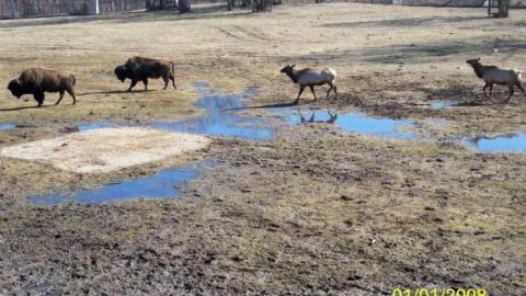 Photo from Domain Ride Remains