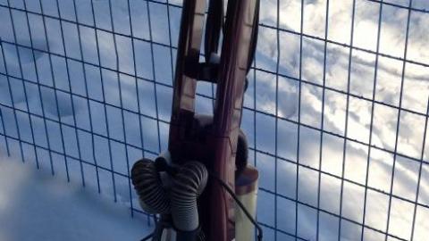 Ethan's Place '19 - Feeling-Nippy...-2-for-196.jpg