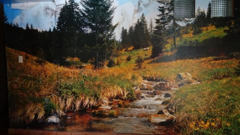 It's Not That Bad '19 - DSC04723.jpg