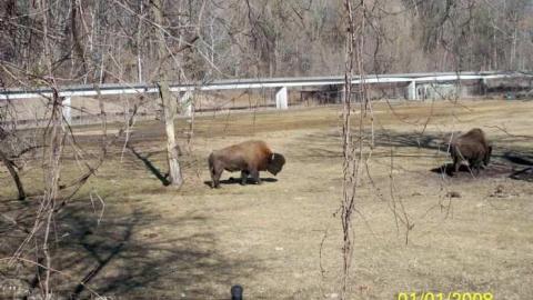 Domain Ride Remains - Canadian-Domain-Ride8.jpg