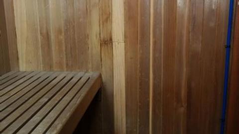 It's Not That Bad '19 - DSC04745.jpg