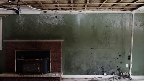 It's Not That Bad '19 - DSC04751.jpg