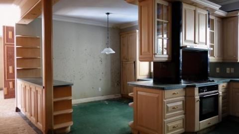 It's Not That Bad '19 - DSC04790.jpg