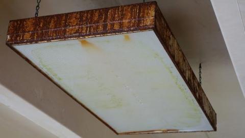 It's Not That Bad '19 - DSC04815.jpg