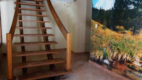 It's Not That Bad '19 - DSC04828.jpg