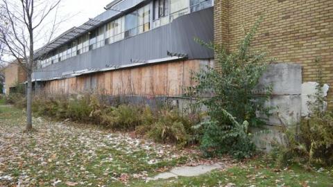 What Remains (Nov 2019) - DSC_1539.jpg