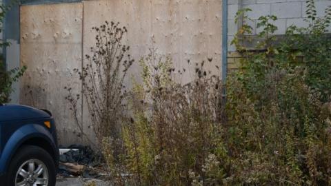 What Remains (Nov 2019) - DSC_1538.jpg