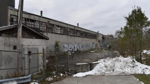 What Remains (Nov 2019) - DSC_1522.jpg