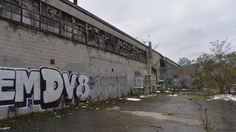 What Remains (Nov 2019) - DSC_1523.jpg