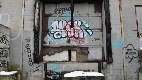 What Remains (Nov 2019) - DSC_1525.jpg