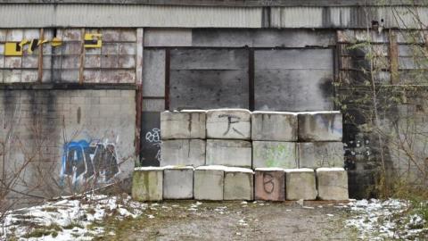 What Remains (Nov 2019) - DSC_1532.jpg