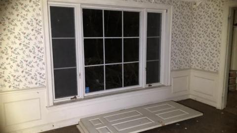 What a difference!! - E13F3DB2-1106-4C25-977C-CDAA892E4BA2.jpeg