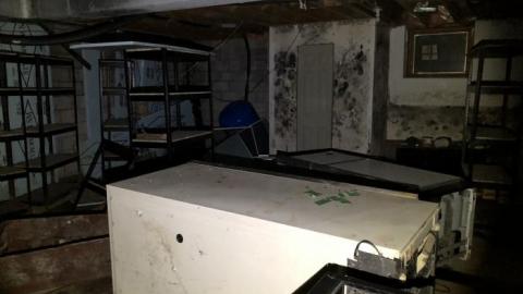 What a difference!! - 7ABCFE7D-5F62-48D2-887A-C37CFAA108CE.jpeg