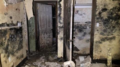 What a difference!! - 508EBF97-C188-44E4-9FE0-AA974E552B32.jpeg