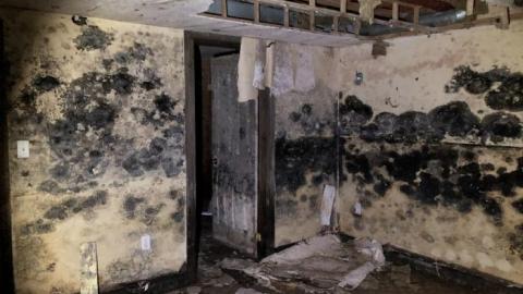 What a difference!! - AC1A0AC0-04E2-4CAC-A37A-88196521E16A.jpeg