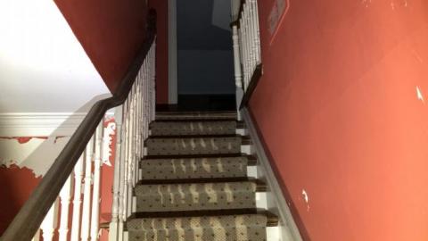 What a difference!! - 8F861E41-4F8F-40D7-A51B-2725FEDD19A6.jpeg