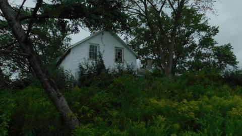 July 2019 - DSCN3729.jpg