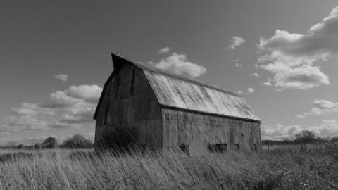 Barn/Cars 2019 - DSCN4079.jpg