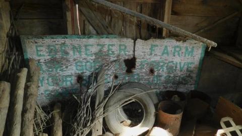 Barn/Cars 2019 - DSCN4072.jpg