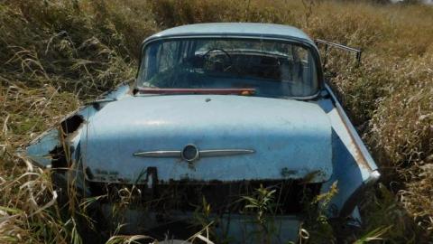 Photo from Barn/Cars 2019