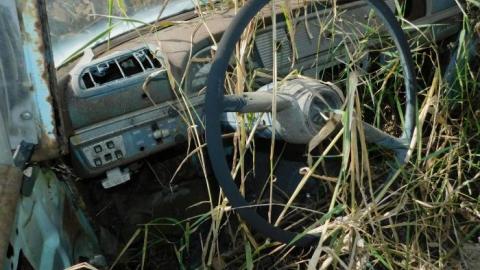 Barn/Cars 2019 - DSCN4049.jpg