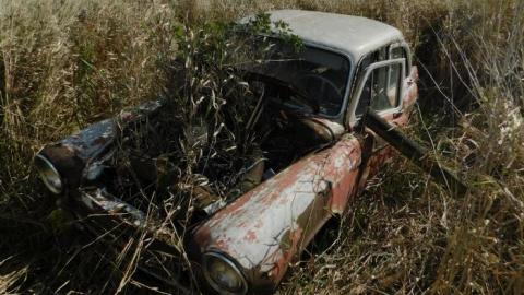 Barn/Cars 2019 - DSCN4061.jpg