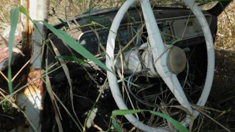 Photo from Barn/Cars 2019