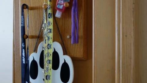 Let's Twist Again '19 - DSC04882.jpg