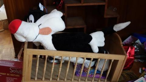 Let's Twist Again '19 - DSC04927.jpg