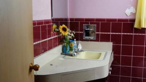 Let's Twist Again '19 - DSC04955.jpg